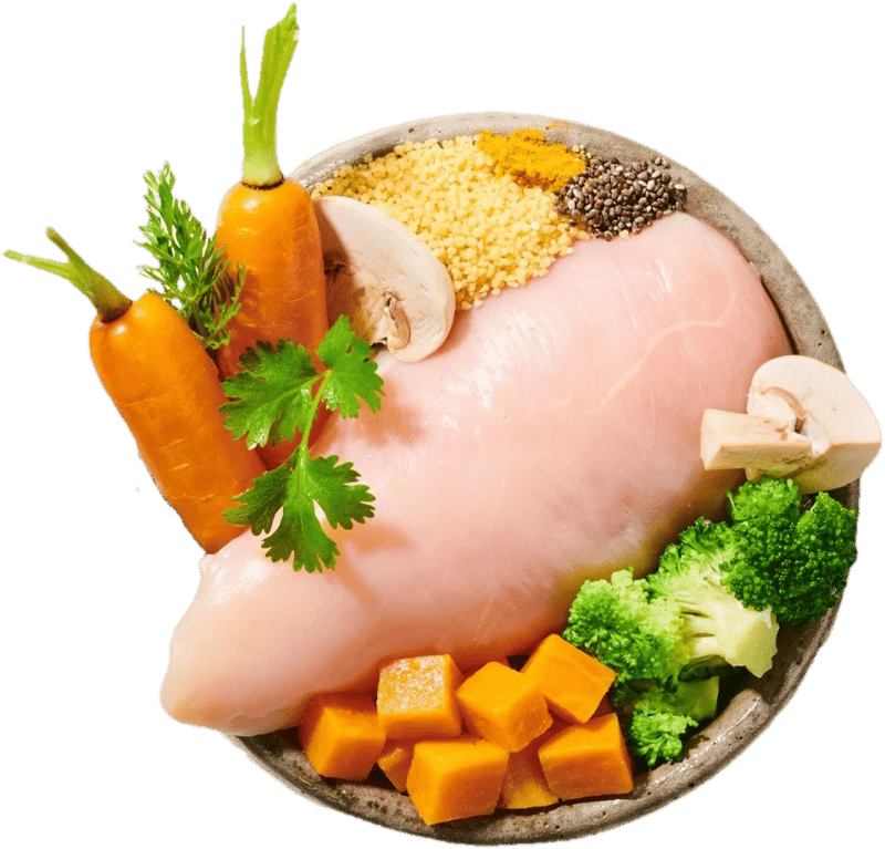BiBi Food Chicken from Chicken – cooked dog food