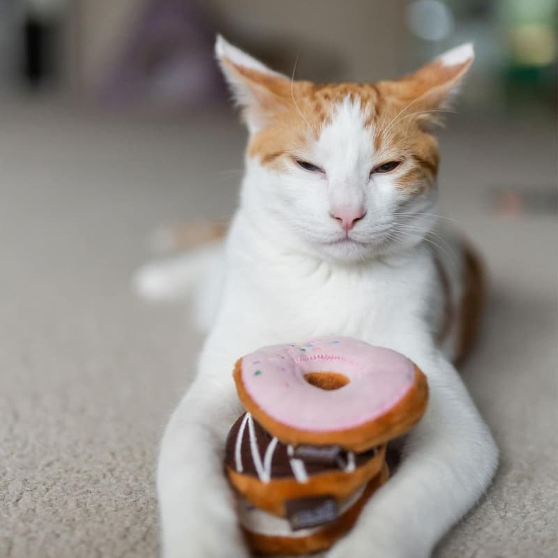 P.L.A.Y. Hračky pro kočky Donuts