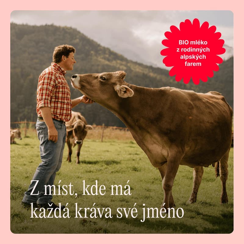 Töpfer BIO 1 počáteční mléčná kojenecká výživa