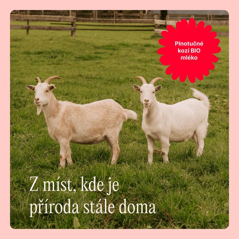 Töpfer BIO Kozí 1 počáteční kojenecké mléko