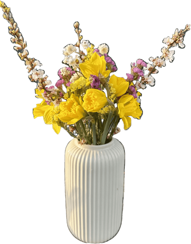 Vitenplant spring bouquet with daffodils Simply Flower