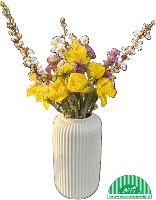 Vitenplant spring bouquet with daffodils Simply Flower