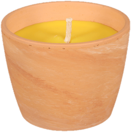 Svíčka proti hmyzu CITRONELLA obal GUZMANIA 250g d10x8cm