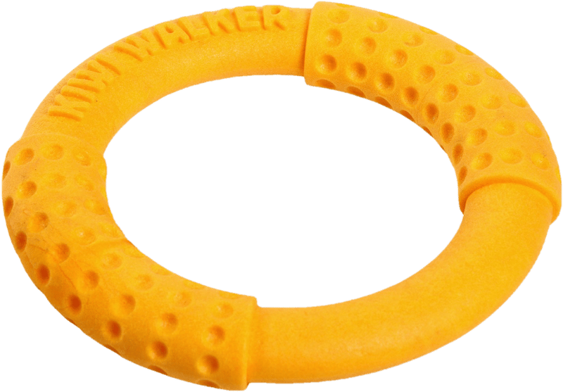 Dog toy RING MAXI floating and flying made of TPR, orange. Kiwi