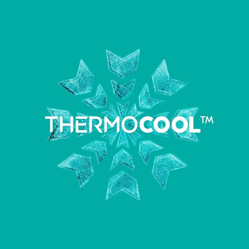 Rexona Men Advanced Protection Thermocool Menthol & Blue Levander antiperspirant spray