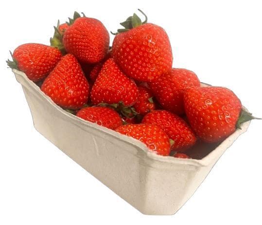 Farma Hrdlička - Čerstvé jahody, vanička