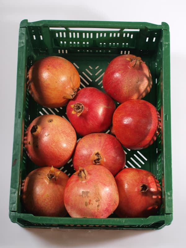 Granátové jablko GIANT 1 ks (cca 350 g)
