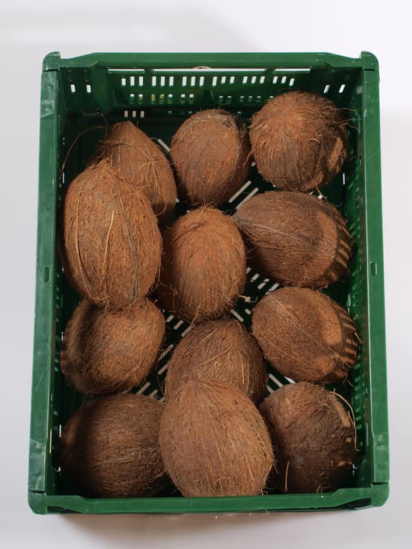 Kokosový ořech (cca 380 g)