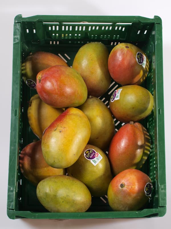 Mango "ready to eat" 1 ks