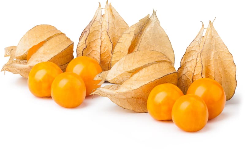 Physalis in a husk, punnet