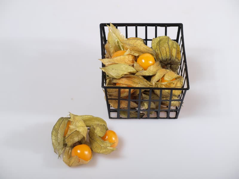Physalis in a husk, punnet