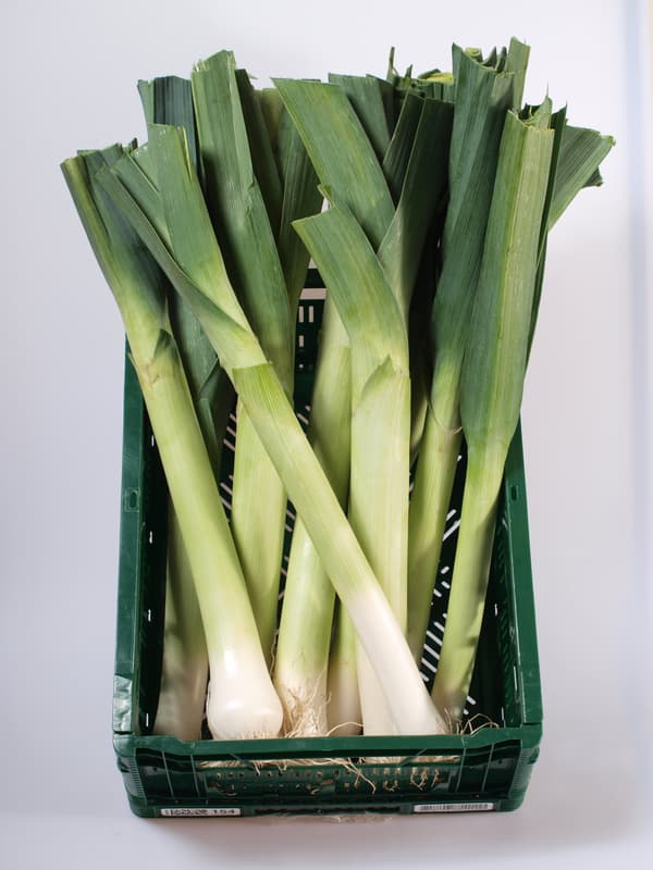 Leek fresh 1pc