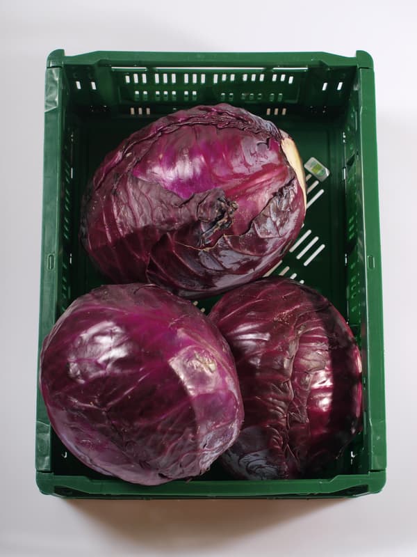 Red cabbage 1 pc