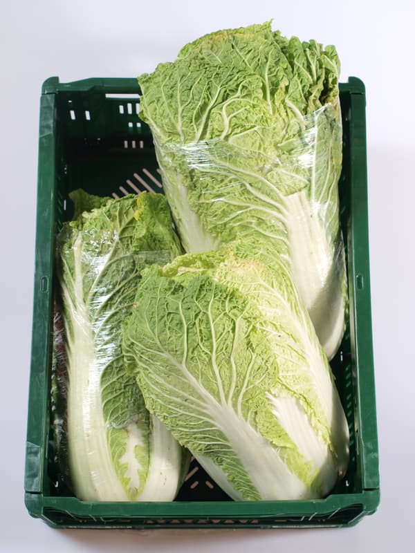 Chinese cabbage 1pc
