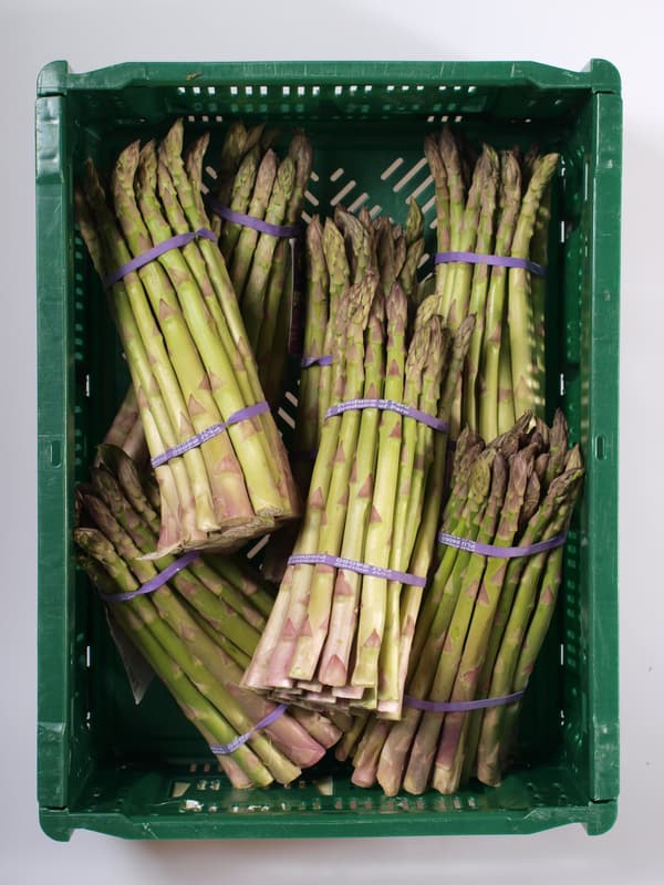 Green asparagus, bundle