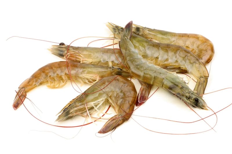 Whole shrimps 30/40