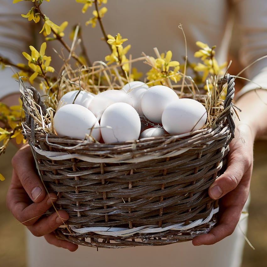 KRASLICE JAK OD PICASSA